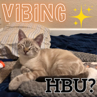 Vibing, HBU? /catnip