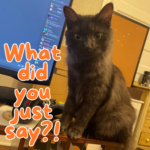 What did you just say? /catnip