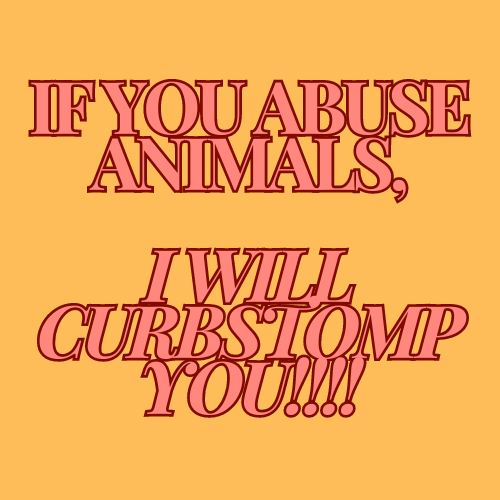 No Animal Abuse! /catnip