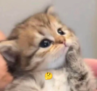 thinking hm .gg/egirly