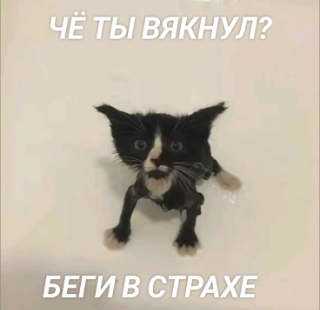 ЧЁ ВЯКНУЛ? Discord sticker
