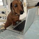 oh hell nah gg/reflect