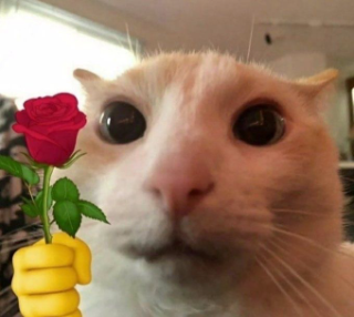 Rose Discord sticker