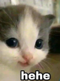 hehe