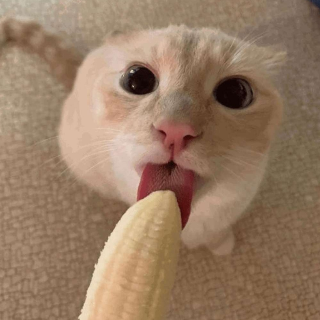 Banana cat Discord sticker