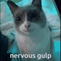 nervous_gulp