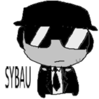Sybau 💔 dns