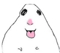 jj's hamster /dwaekki