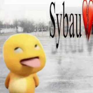 sybau /akemi