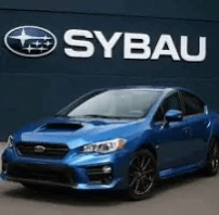 sybau Discord sticker