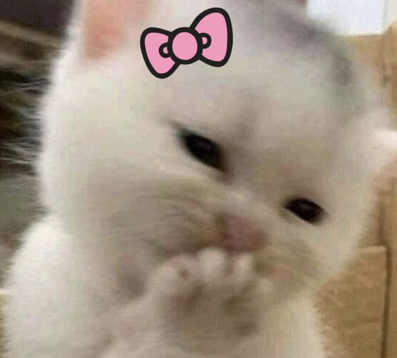 mewmewhuehue | .gg/kissies