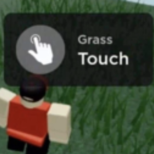 touch_grass