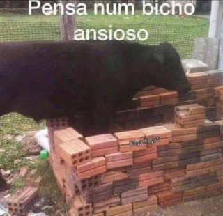 pensa num bicho ansioso