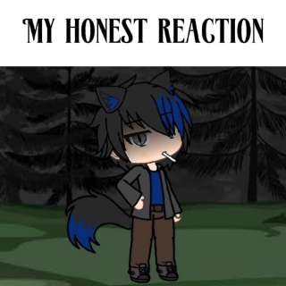 My Honest Reaction