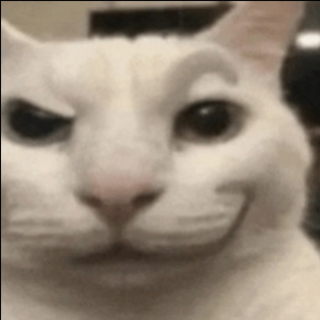 Smirk cat