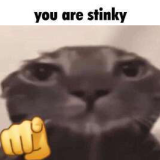 You are stinky