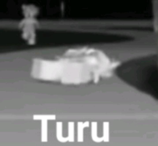 Turu