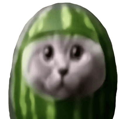 watermelon cat