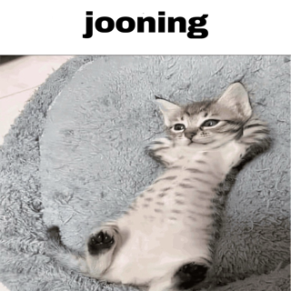 jooning /echat