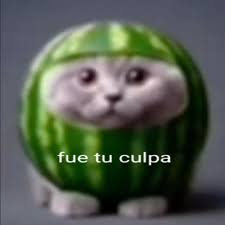 fue tu culpa Discord sticker