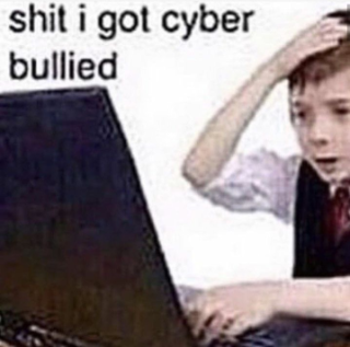 shit i got cyber bullied