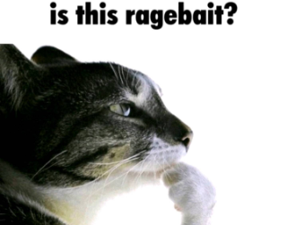 is this ragebait? Discord sticker