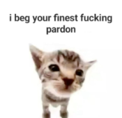 I beg your finest fucking pard
