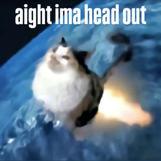 ima head out /catnip