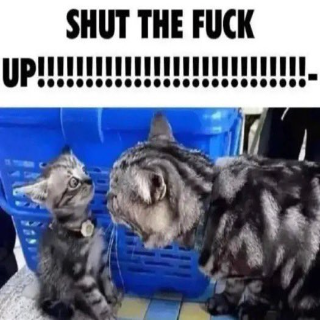 STFU Discord sticker