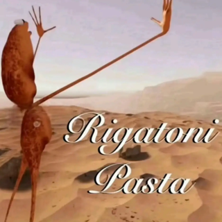 rigatoni marcus | dti ribbons