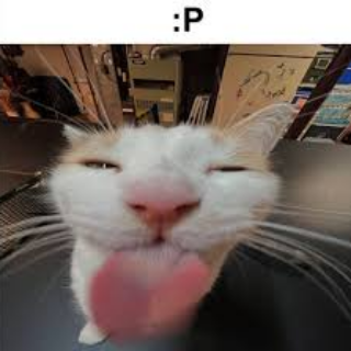 :p cat