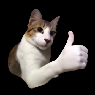 kitty Thumbsup