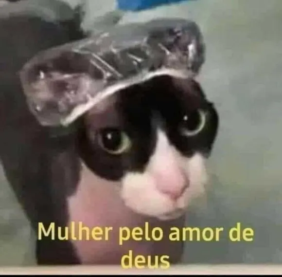 Mulher pelo amor de Deus Discord sticker