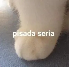 pisadaseria Discord sticker