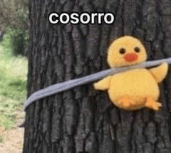 cosorro Discord sticker