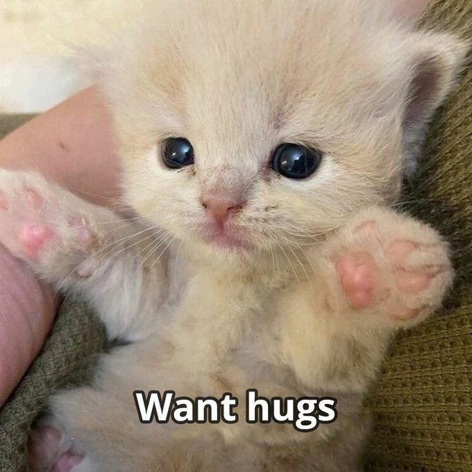 Want_Hugs /hopeful