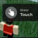 Grass