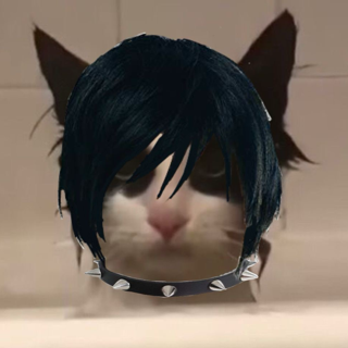 emo cat ⭑ /ghouliez