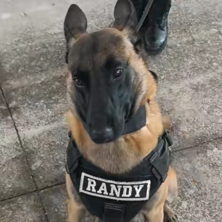 Randy Discord sticker