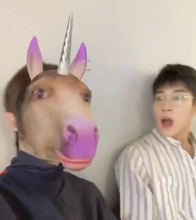 unicorn! ⭑ /ghouliez