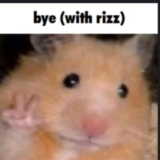 Rizz