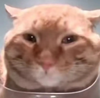 snacksad Discord sticker