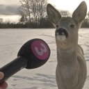 you wanna say something?