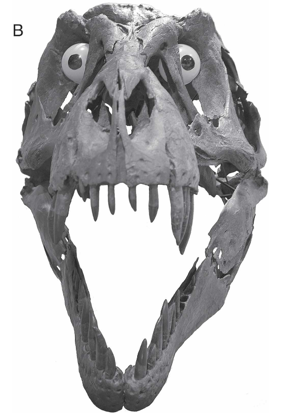 pogrex Discord sticker
