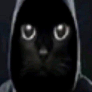 nigga cat gg/reflect