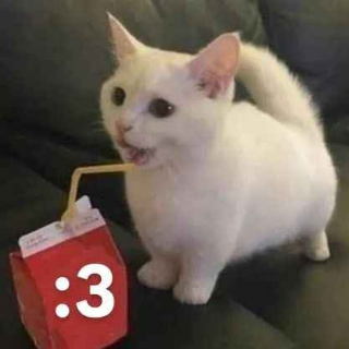 :3 Discord sticker
