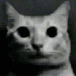 Holy shit (/eclipsess)