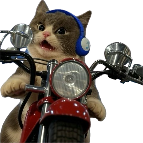 Biker Cat Discord sticker