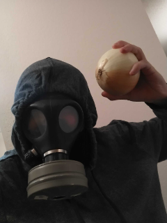 world war onion Discord sticker