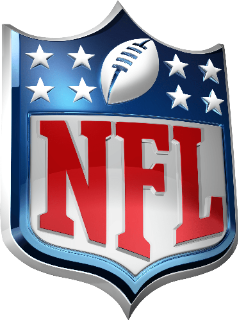 NFL Discord Discord sticker